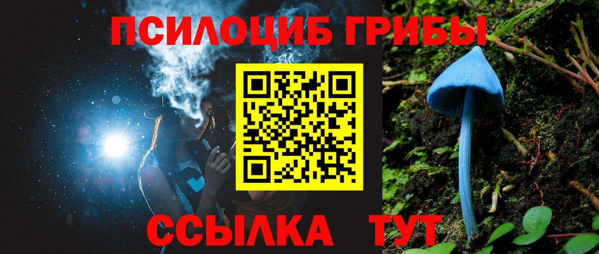 Галлюциногенные грибы Psilocybine cubensis  Вход с VPN  Дубна 