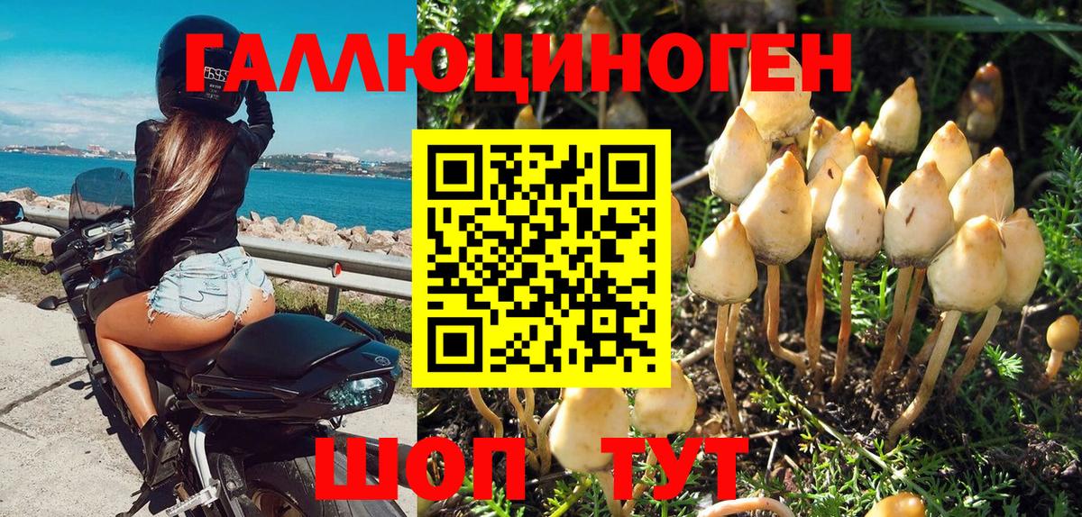 Галлюциногенные грибы прущие грибы Дубна